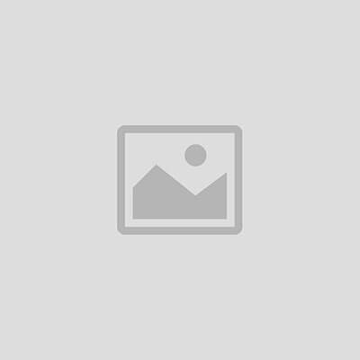 سیستم صاعقه گیر الکترونیکی  مدل K3 KEC